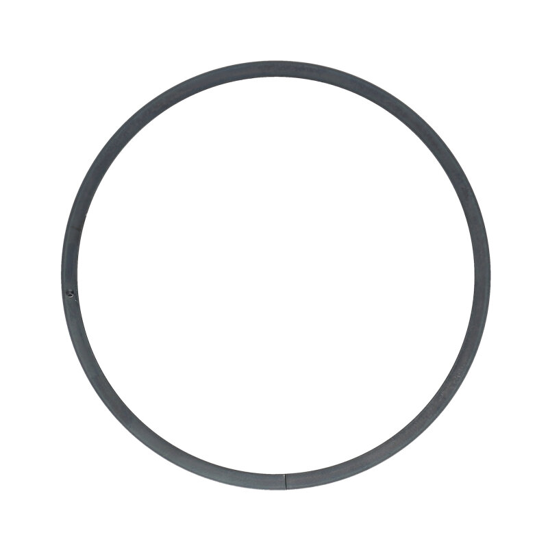 BMW M3 Brake Rotors (2) - Rear - R1 Concepts - Geoperf Drilled & Slotted - `00-`06